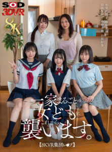 【13dsvr01659】【VR】【8K】【VR集団レ×プ】一家まるごとの女どもを、これから襲います。