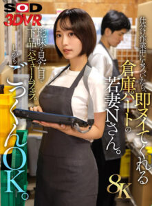 【13dsvr01864】【VR】【8K】仕分け作業中にムラついたら、即ヌイてくれる倉庫パートの若妻Nさん。